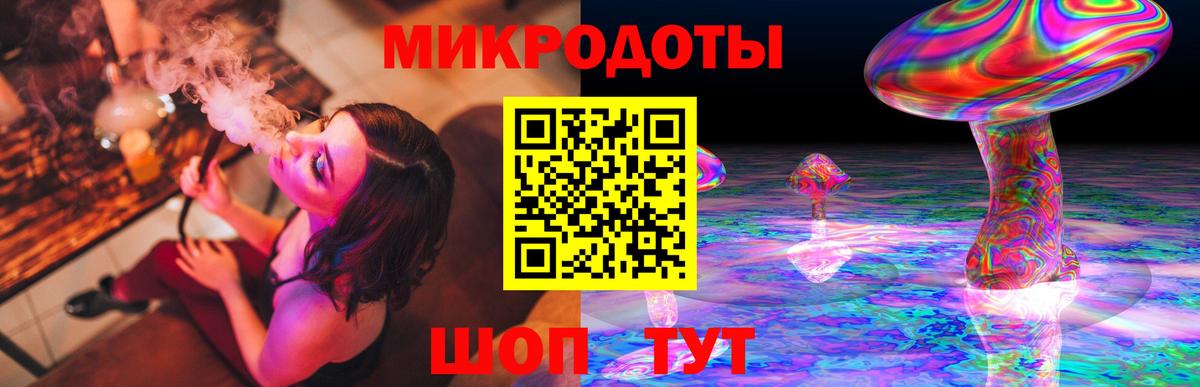 Галлюциногенные грибы Psilocybe Большой Камень